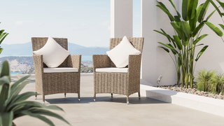 Set of 2 Ceres chairs