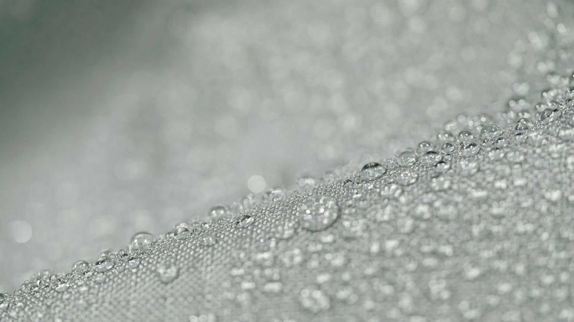 Lyes M / Eliya S Weather-proof cover