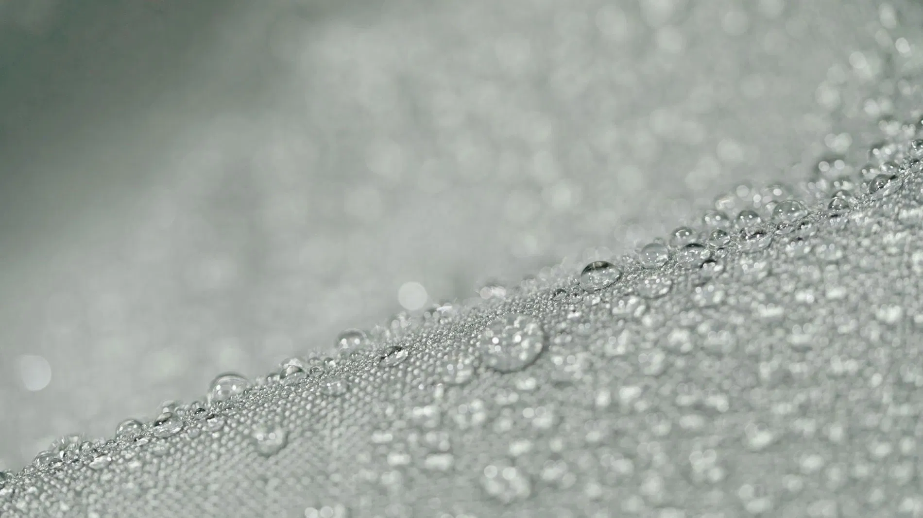 Anissea XL Weather-proof cover